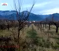 Снимка 5 — Парцел в Кюстендил, с. Самораново