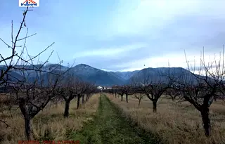 Парцел в Кюстендил, с. Самораново