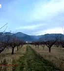 Парцел в Кюстендил, с. Самораново