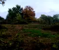 Снимка 2 — Парцел в Кюстендил, с. Самораново