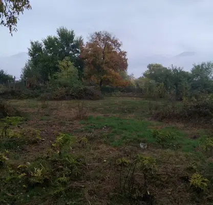 Photo 2 — Plot in Oblast Kyustendil, Samoranovo