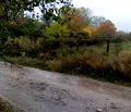 Снимка 3 — Парцел в Кюстендил, с. Самораново