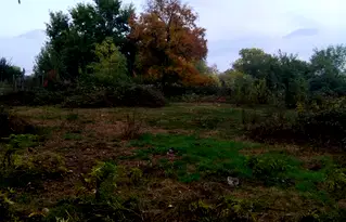 Парцел в Кюстендил, с. Самораново