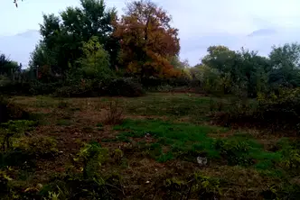 Парцел в Кюстендил, с. Самораново