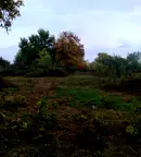Парцел в Кюстендил, с. Самораново