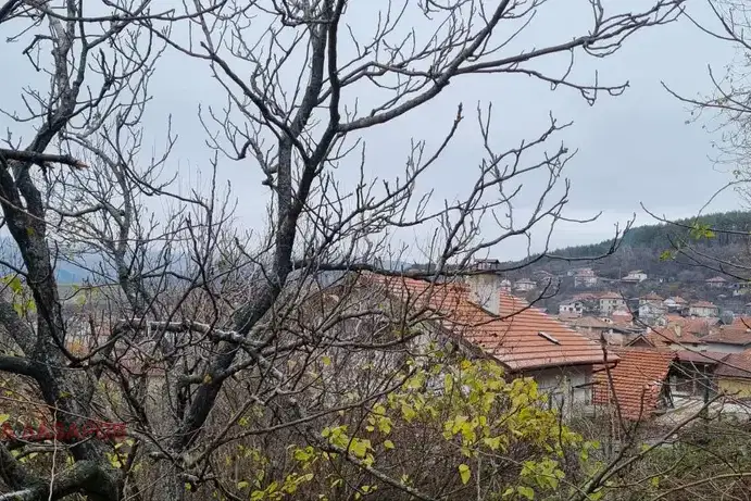Plot in Oblast Kyustendil, Saparevo