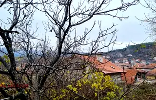 Парцел в Кюстендил, с. Сапарево