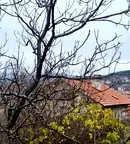 Парцел в Кюстендил, с. Сапарево
