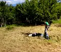 Снимка 3 — Парцел в Кюстендил, с. Шатрово