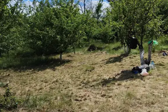 Plot in Oblast Kyustendil, с. Шатрово