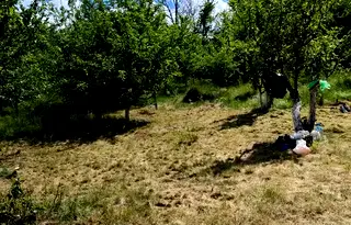 Парцел в Кюстендил, с. Шатрово