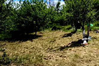 Парцел в Кюстендил, с. Шатрово