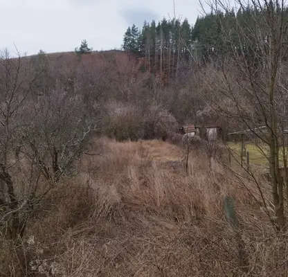 Photo 4 — Plot in Oblast Kyustendil, Topolnica