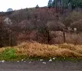 Снимка 5 — Парцел в Кюстендил, с. Тополница