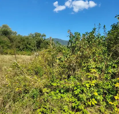 Photo 2 — Plot in Oblast Lovech, Aprilci