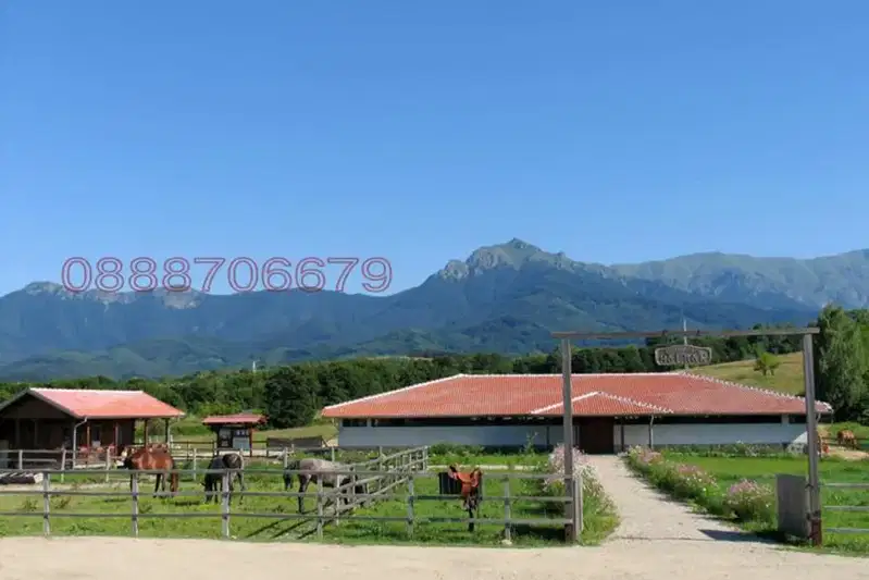 Plot in Lovech, Aprilci