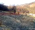 Снимка 2 — Парцел в Ловеч, Априлци