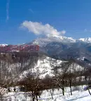 Парцел в Ловеч, Априлци