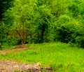 Снимка 5 — Парцел в Ловеч, Априлци
