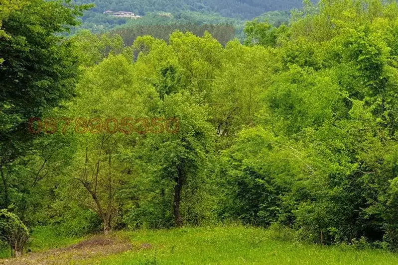Plot in Oblast Lovech, Aprilci