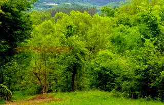 Парцел в Ловеч, Априлци