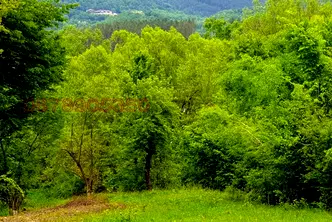 Парцел в Ловеч, Априлци