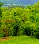 Парцел в Ловеч, Априлци