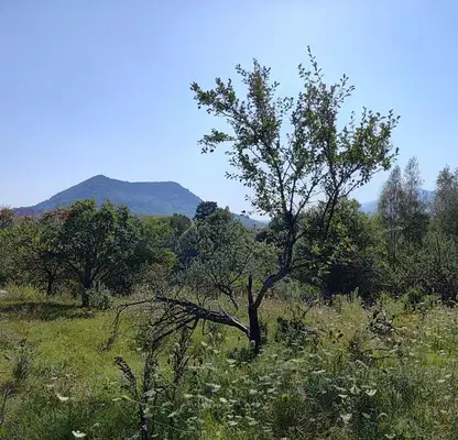 Photo 3 — Plot in Oblast Lovech, Aprilci