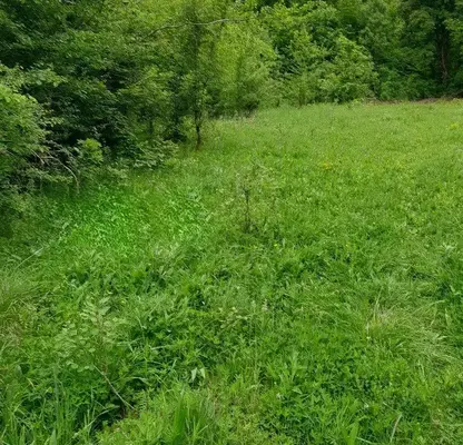 Photo 2 — Plot in Oblast Lovech, Aprilci