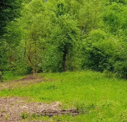 Photo 3 — Plot in Oblast Lovech, Aprilci