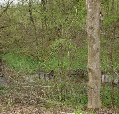 Photo 4 — Plot in Oblast Lovech, Aprilci