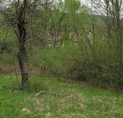 Photo 5 — Plot in Oblast Lovech, Aprilci