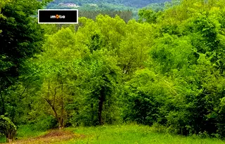 Парцел в Ловеч, Априлци