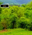 Парцел в Ловеч, Априлци