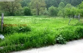 Парцел в Ловеч, Априлци