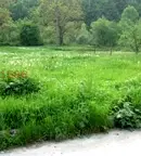Парцел в Ловеч, Априлци