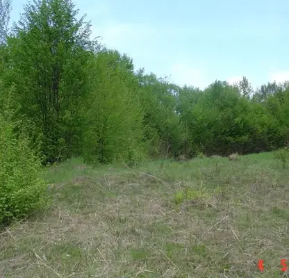 Photo 3 — Plot in Oblast Lovech, Aprilci