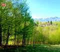 Снимка 3 — Парцел в Ловеч, Априлци