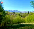 Снимка 4 — Парцел в Ловеч, Априлци