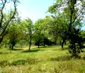 Снимка 4 — Парцел в Ловеч, Априлци