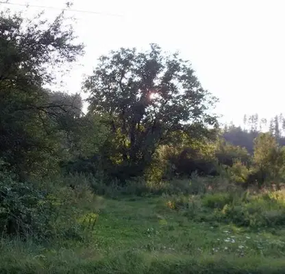 Снимка 2 — Парцел в Ловеч, Априлци