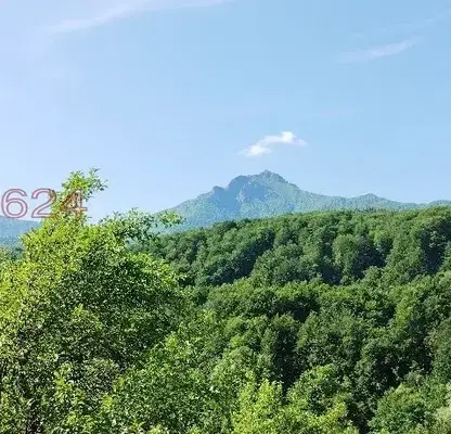 Снимка 5 — Парцел в Ловеч, Априлци