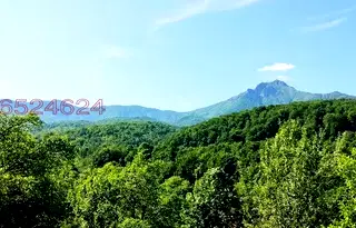 Парцел в Ловеч, Априлци