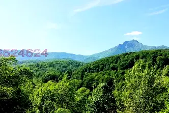 Парцел в Ловеч, Априлци