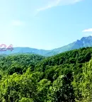 Парцел в Ловеч, Априлци