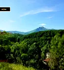 Парцел в Ловеч, Априлци