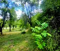 Снимка 3 — Парцел в Ловеч, Априлци