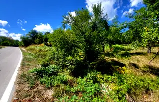 Парцел в Ловеч, Априлци
