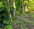 Снимка 4 — Парцел в Ловеч, Априлци