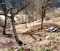 Снимка 5 — Парцел в Ловеч, Тетевен